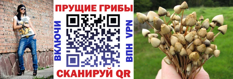 Галлюциногенные грибы прущие грибы  наркотики  Иннополис 